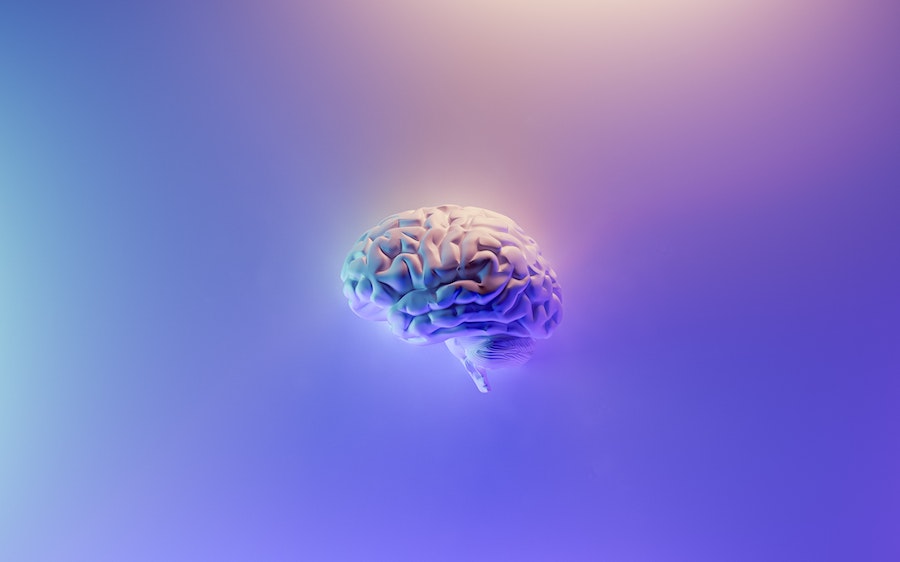 Omega 3: Is DHA goed voor de hersenfunctie? En hoe zit het met het geheugen?